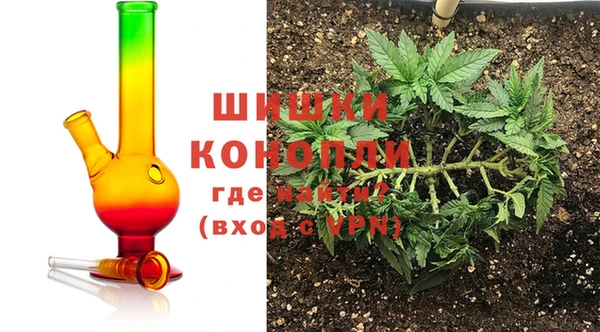индика Балахна