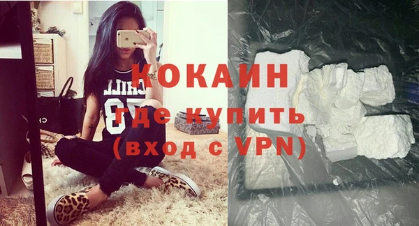 индика Балахна